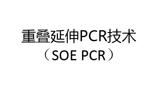 重叠延伸PCR技术