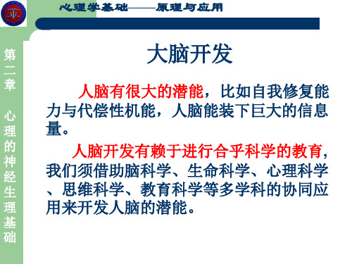 101026大脑潜能开发