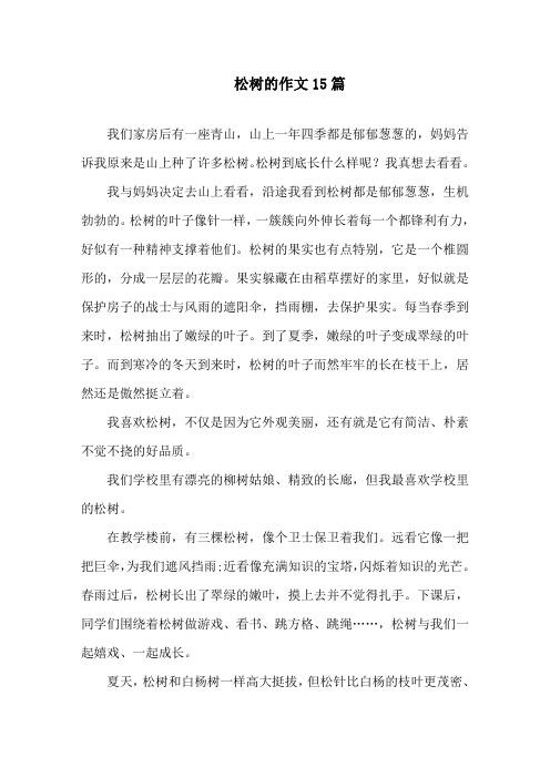 松树的作文15篇精选