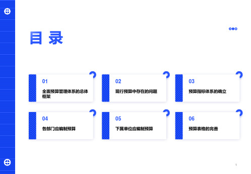 全面预算管理体系的总体框架要点