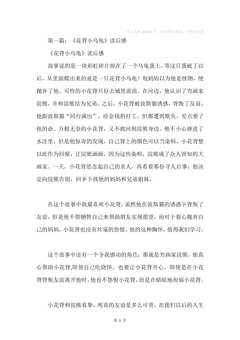 《花背小乌龟》读书笔记