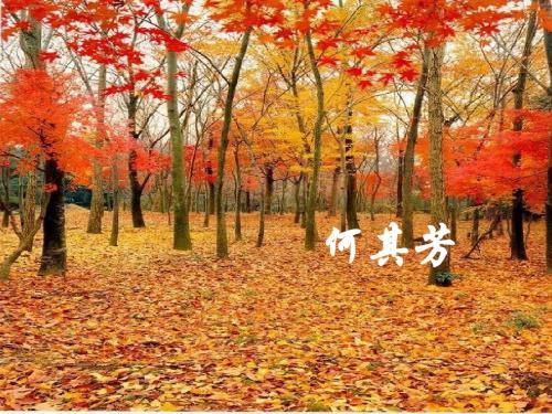 初中语文《秋天》(共26张)ppt132