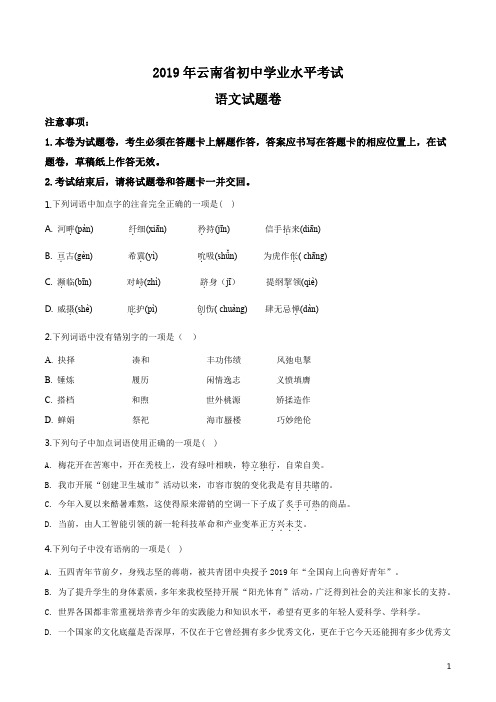 精品解析：云南省2019年中考语文试题(原卷版)