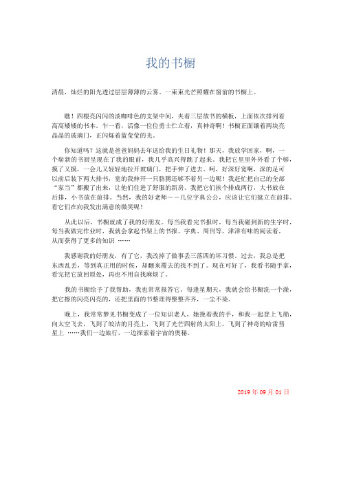 小学记叙文 我的书橱-精品