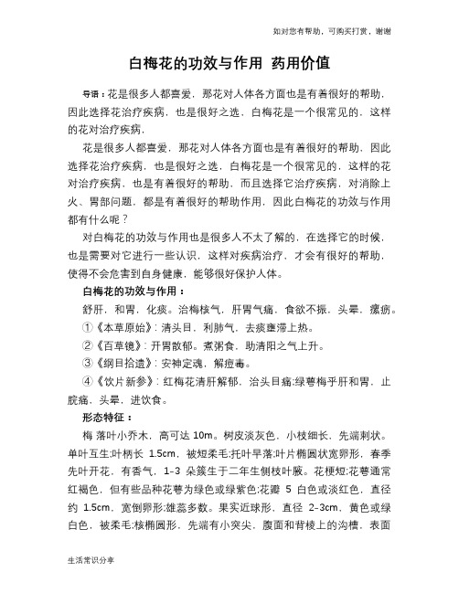 白梅花的功效与作用 药用价值