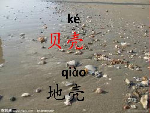 1、拾贝壳课件新版