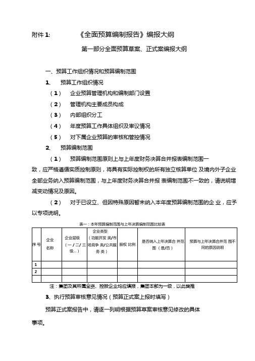 全面预算编制报告编报大纲