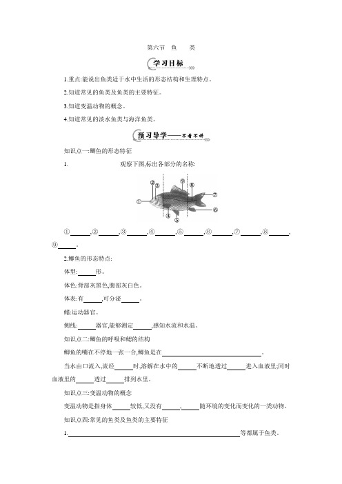 冀教版七年级上册生物1.4.6鱼类(导学案2  ).doc