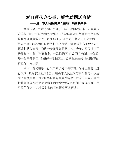 对口帮扶办实事