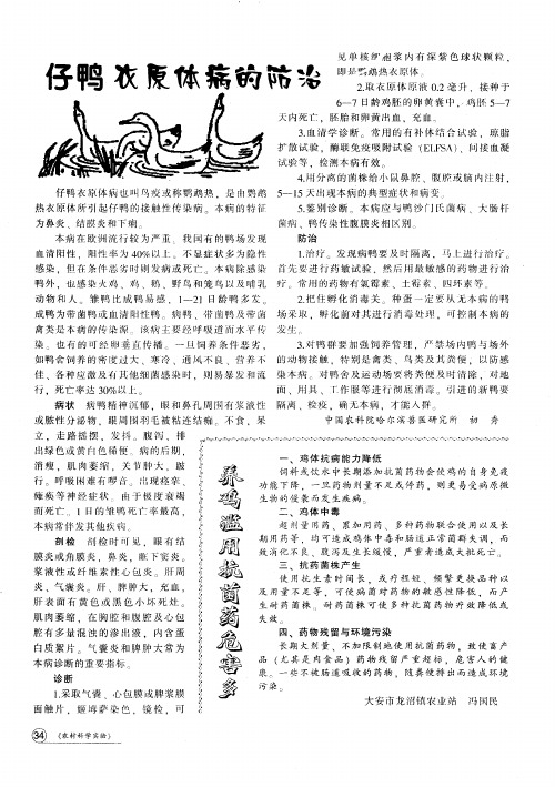 仔鸭衣原体病的防治