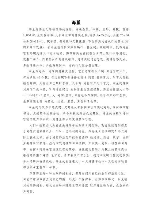 海洋文化