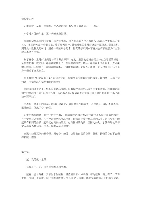 作文：我心中的莲
