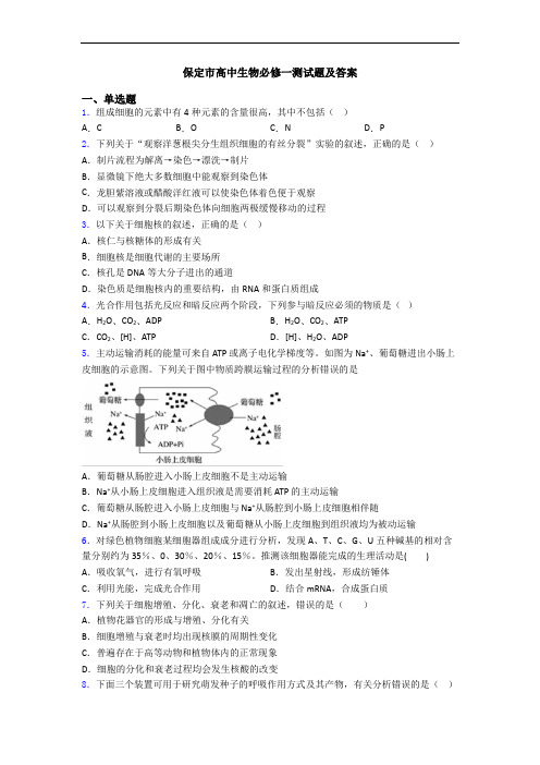 保定市高中生物必修一测试题及答案