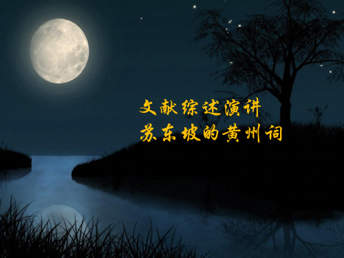 文献综述演讲苏东坡黄州诗词