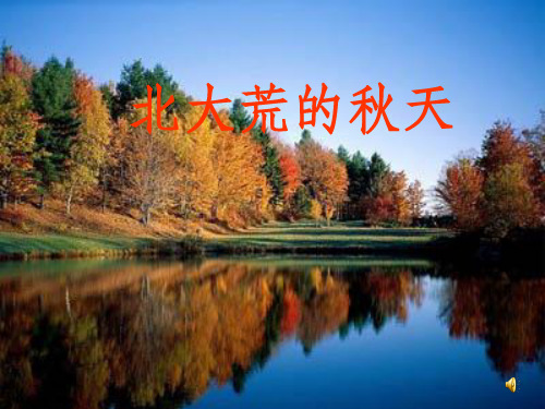 北大荒的秋天ppt课件