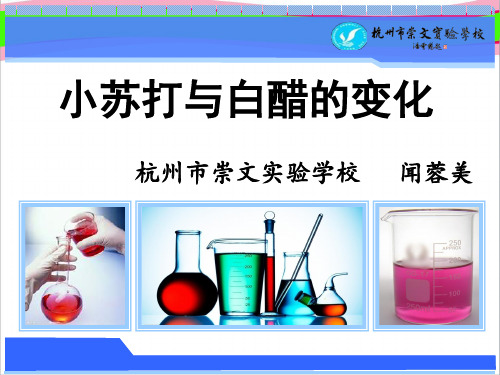 小苏打与白醋的变化   大赛获奖精美课件PPT