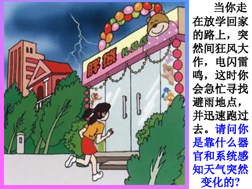 人教版七年级下册生物学第六章第一节人体对外界环境的感知