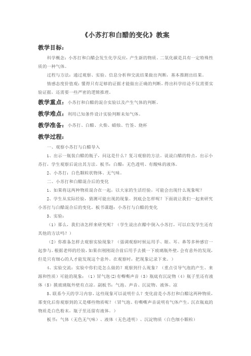《小苏打和白醋的变化》教案3