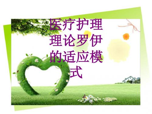 医学护理理论罗伊的适应模式课件