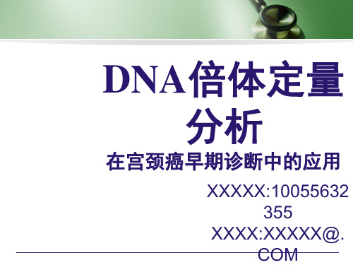 DNA倍体