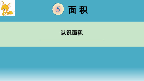 人教版三年级数学下册课件- 5.1 面积和面积单位——认识面积 (共17张PPT)