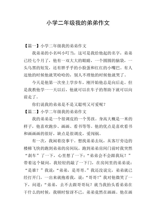 小学二年级我的弟弟作文