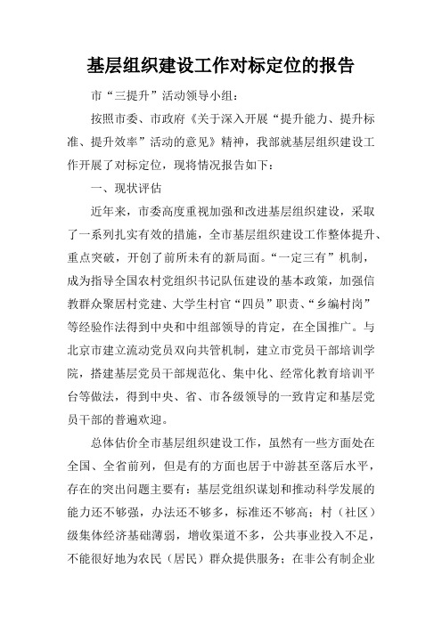 基层组织建设工作对标定位的报告