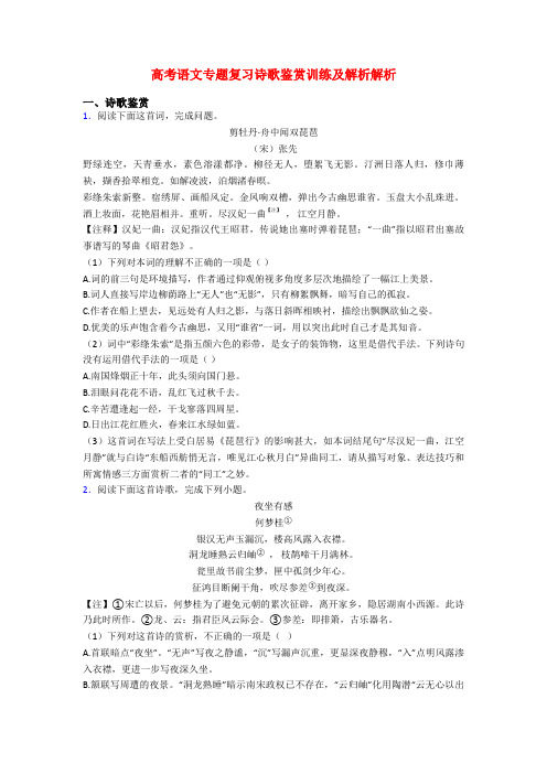高考语文专题复习诗歌鉴赏训练及解析解析