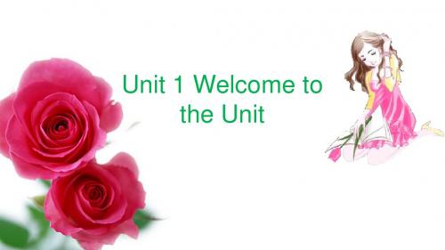 译林牛津版高中英语M1U3 welcome to the unit 教学课件 (共34张PPT)