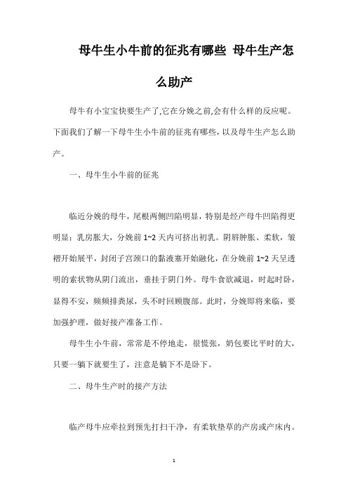 母牛生小牛前的征兆有哪些母牛生产怎么助产