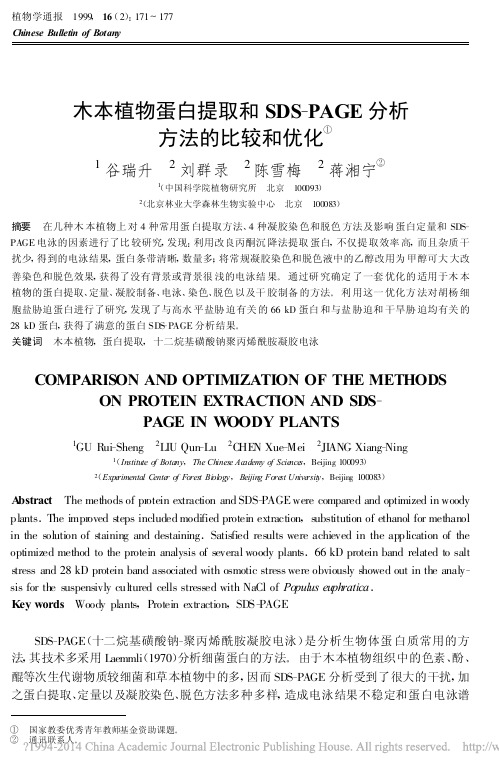 木本植物蛋白提取和SDS_PAGE分析方法的比较和优化_谷瑞升