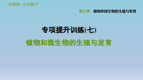 2020春华师版七年级科学下册 第7章 专项提升训练(七)   植物和微生物的生殖与发育