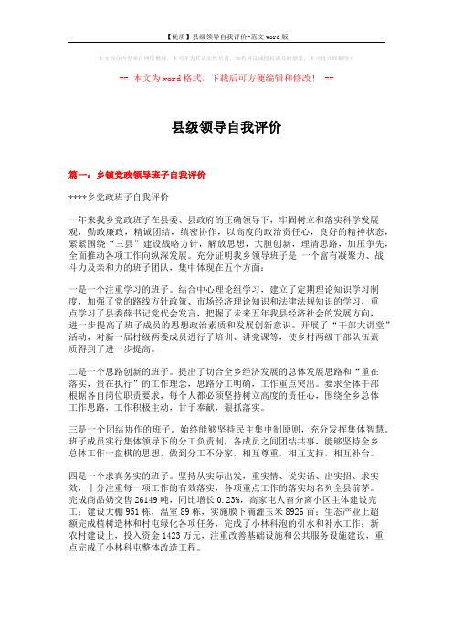 【优质】县级领导自我评价-范文word版 (4页)