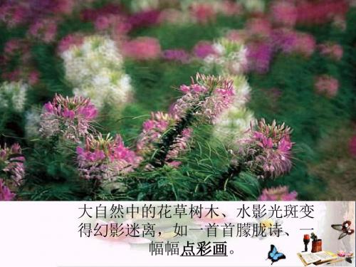 三年级美术上册点彩游戏精选教学PPT课件2苏少版