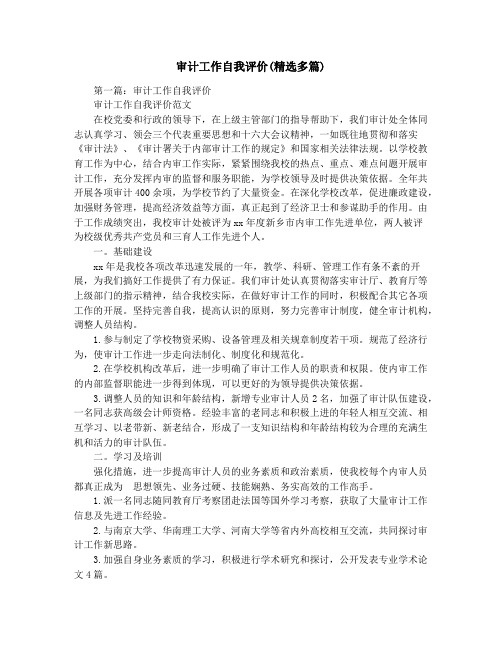 审计工作自我评价(精选多篇)