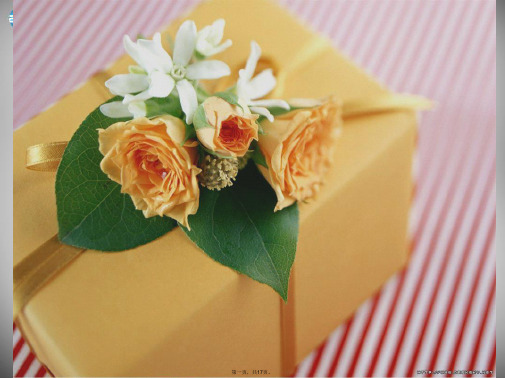一年级语文下册 第三单元《生日礼物》课件1 西师大版