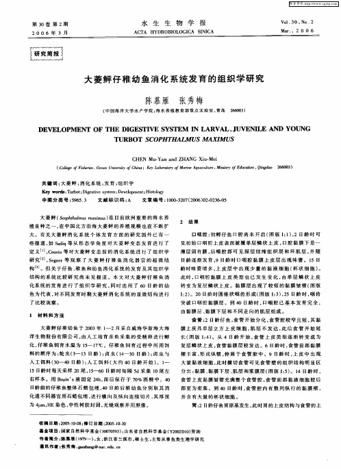 大菱鲆仔稚幼鱼消化系统发育的组织学研究
