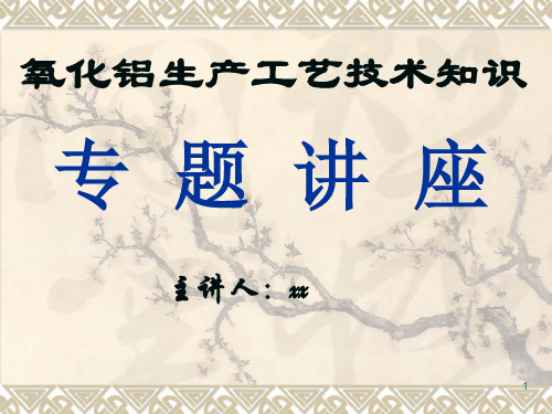 氧化铝生产工艺技术知识