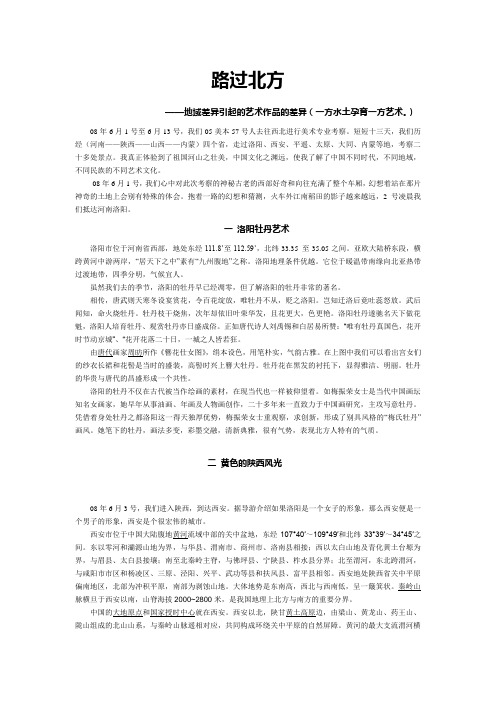 大西北美术考察报告仰望北方