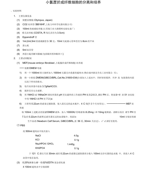 小鼠胚胎成纤维细胞的分离和培养