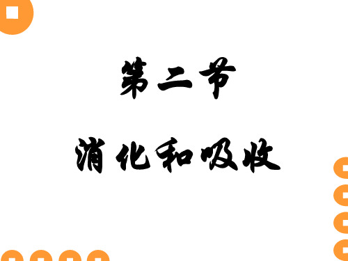 新人教版七年级生物下册第二章第二节消化和吸收精品课件