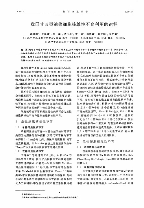 我国甘蓝型油菜细胞核雄性不育利用的途径