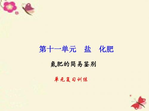 【百分闯关】2016九年级化学下册 第11单元 盐 化肥复习训练课件 新人教版