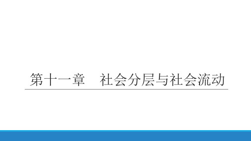 社会学概论新修(第五版)PPT第十一章