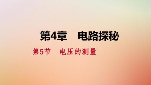 八年级科学上册第4章电路探秘4.5电压的测量实验：研究串、并联电路的电压特点练习课件(新版)浙教版