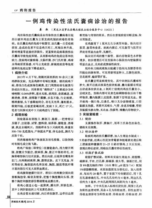 一例鸡传染性法氏囊病诊治的报告