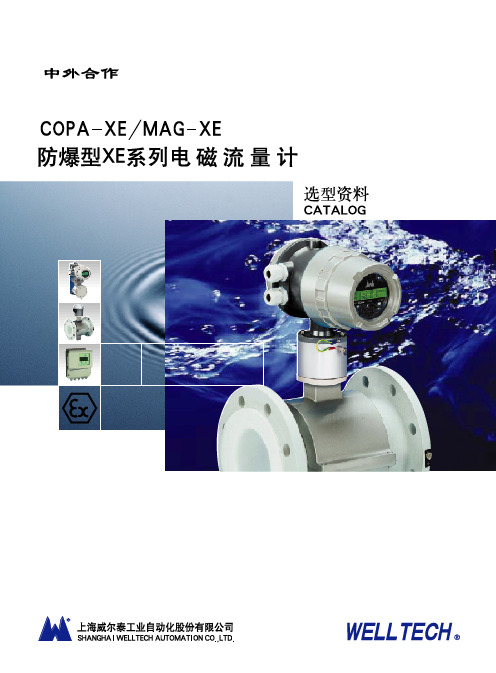 XE防爆电磁流量计