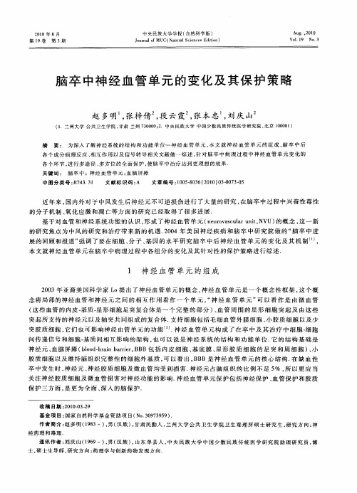 脑卒中神经血管单元的变化及其保护策略