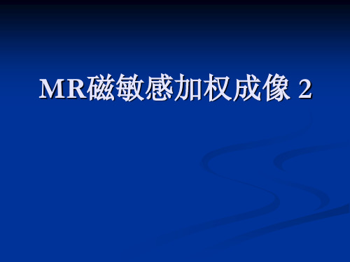 MR磁敏感加权成像 2