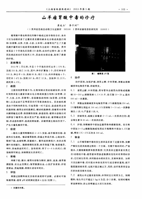 山羊瘤胃酸中毒的诊疗